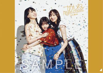 nogizaka_B3poster_sample_B_wgsd.jpg