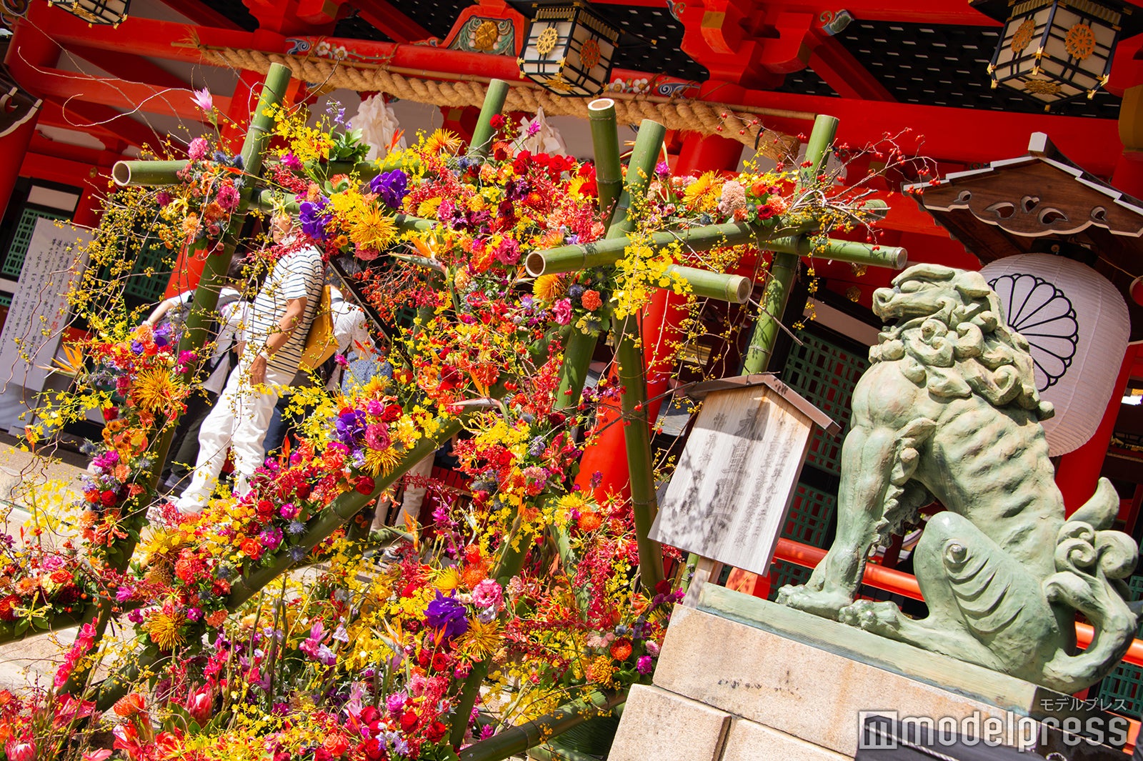 秋の花で彩られた生田神社（C）モデルプレス